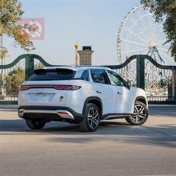 بی وای دی سۆنگ L DM-i